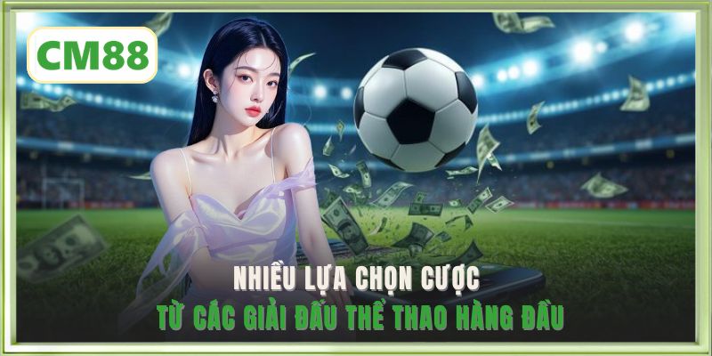 Nhiều lựa chọn cược từ các giải đấu thể thao hàng đầu