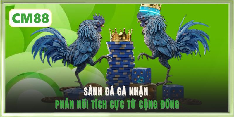 Sảnh Đá Gà nhận phản hồi tích cực từ cộng đồng