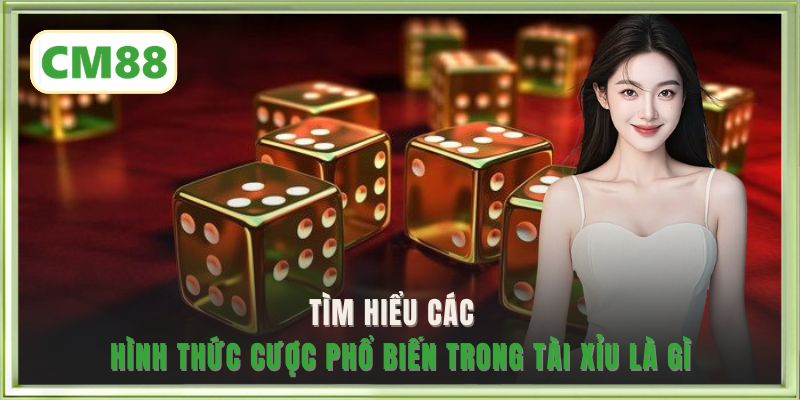 Tài xỉu là gì - tìm hiểu các hình thức cược phổ biến